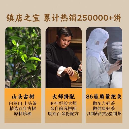 龙润丨润欣号熟茶  普洱熟茶 熟普 2025年 357g 饼茶 商品图4