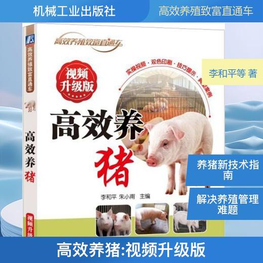 高效养猪 商品图0