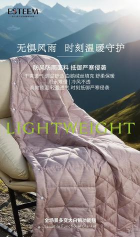 【春上新】10楼宜庭     全场景多变大白鹅功能毯120*155cm   吊牌价999  现价199