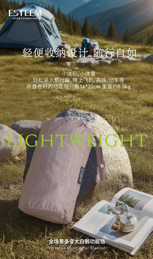 【春上新】10楼宜庭     全场景多变大白鹅功能毯120*155cm   吊牌价999  现价199 商品图3