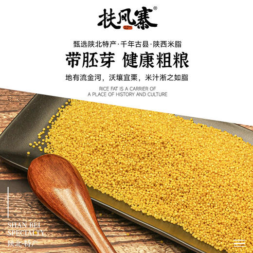 扶风寨正宗陕北米脂小米 精选杂粮 山地种植 口感醇厚 颗粒饱满 商品图2