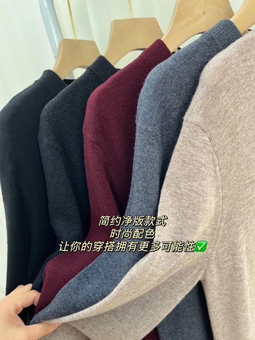 【100%绵羊毛 温暖加倍 柔滑不扎皮肤】耐尔男款万金油打底羊毛衫（W3066） 商品图6