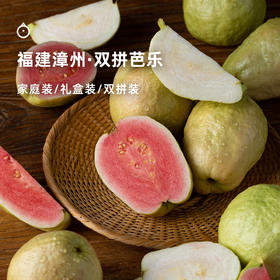 7天内发 企鹅市集|福建漳州 双拼芭乐 软心白玉芭乐/红心莓果芭乐 香甜软糯