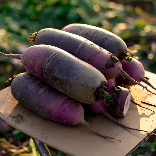 新疆冰淇淋萝卜5斤±200g （5-10根） 商品图6