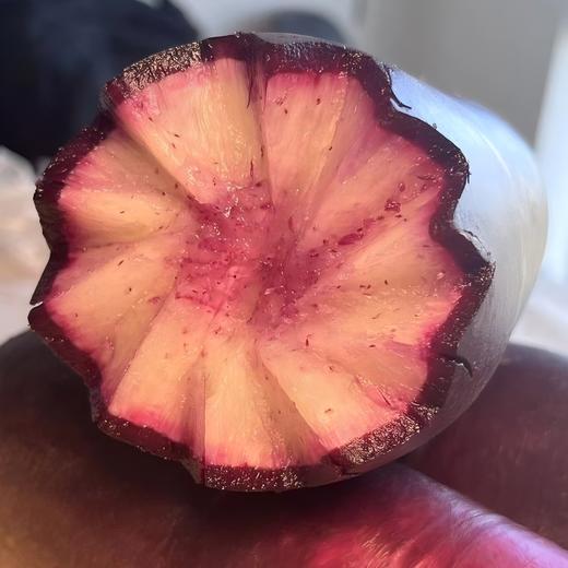 新疆冰淇淋萝卜5斤±200g （5-10根） 商品图5