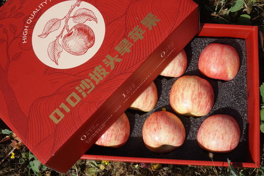 010宁夏中卫沙坡头旱苹果 红富士  沙漠的珍宝 皮薄肉脆 酸甜适中  商品图11