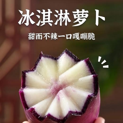 新疆冰淇淋萝卜5斤±200g （5-10根） 商品图0