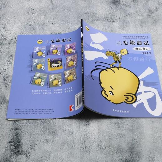 流浪街头 商品图3
