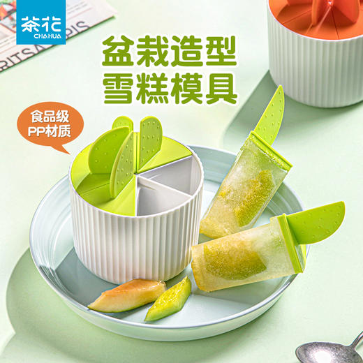 【茶花】植享冰棒模绿野仙踪DIY冰棒 商品图0