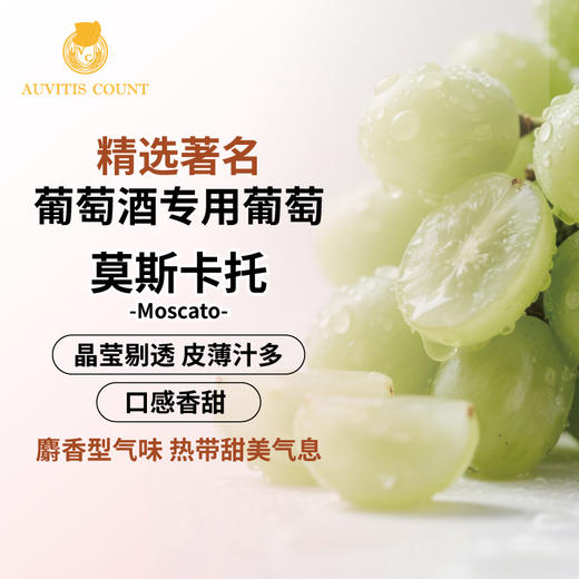 伯爵来喜起泡白葡萄汁澳洲进口750ml【Z】 商品图7