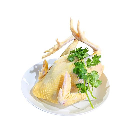 青瓦林下有机鸡 | 香榧林下散养 仙居鸡 肉质鲜嫩 商品图1