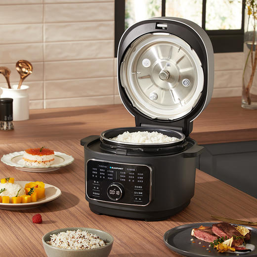 蓝宝低温料理饭煲家用电饭煲BP-FB02【鱼圈vip福利】 商品图1