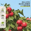 天昆果王 新疆特产 益生元腰果仁烤山楂 解馋开胃 160g/袋 商品缩略图1