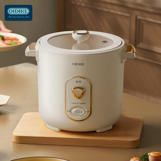 德国OIDIRE迷你电饭煲ODI-DFB9 商品图3