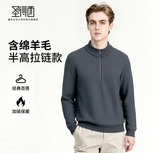 【含绵羊毛】圣得西男士休闲百搭毛衣2025秋冬季新款半高领厚毛衫 商品图0