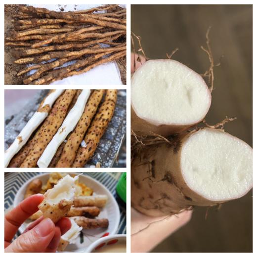 覃怀地—正宗温县垆土老品种铁棍山药 商品图3