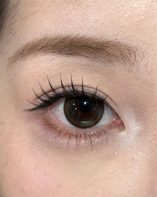 JELLYDOLL山茶花(佩戴直径:14.5mm) 商品图4