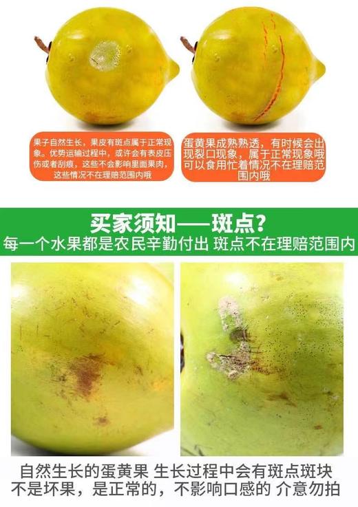 仙桃鸡蛋果 商品图5