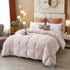 绒友 轻眠鹅绒春秋被 商品缩略图1