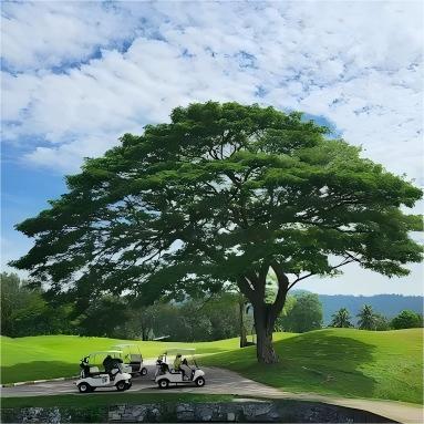 芭提雅·绿山乡村俱乐部 Khao Kheow Country Club｜芭提雅高尔夫球场 | 泰国高尔夫球场俱乐部 商品图3