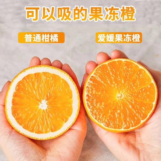 超多水份【现摘现发！新鲜直达】鲜甜爽口，皮薄厚果肉，清甜多汁，四川爱媛果冻橙新鲜橙子水果当季甜柑橘大果。rc 商品图10