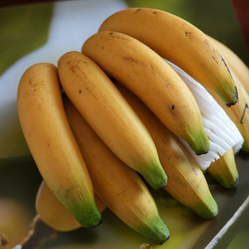 佳丽小香蕉姆指蕉（本地老品种）【每周采收发货一次，不接急单】