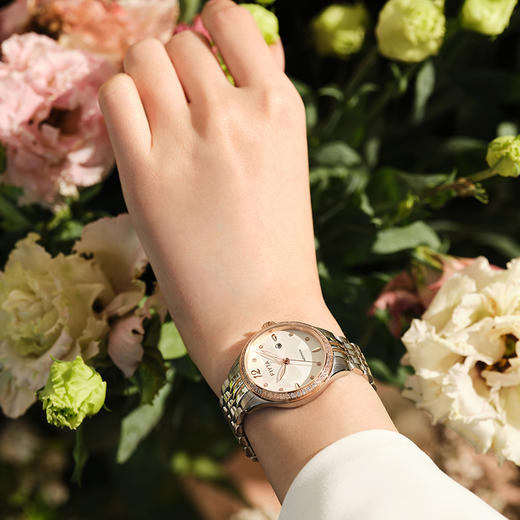 飞亚达花语系列机械女表LA805005.MWMD 商品图2