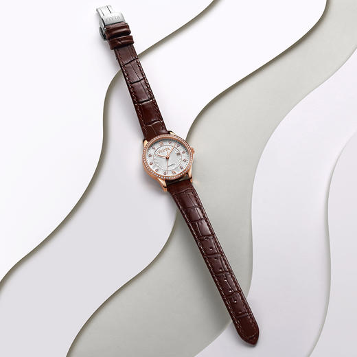 飞亚达经典系列石英女表L802030.PWRD 商品图3