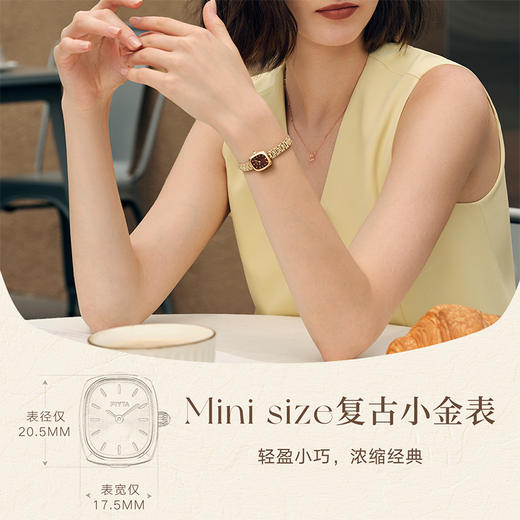 飞亚达倾城系列石英女表DL21012.GKG 商品图4