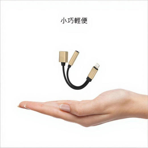 苹果Lighting转3.5mm音频线/Lighting 充电听歌二合一转接头 银灰色 商品图4