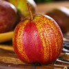 新鲜水果 新疆彩虹梨 8.5元/斤  2斤起售（多退少补） 商品缩略图0