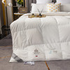 绒友 轻眠鹅绒春秋被 商品缩略图4