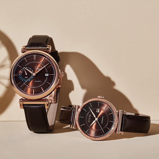 飞亚达印系列女表机械表LA850001.PKKD 商品图3