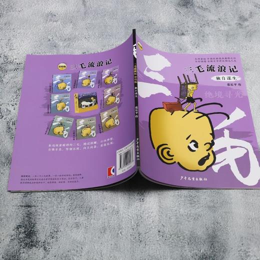 独自谋生 商品图3