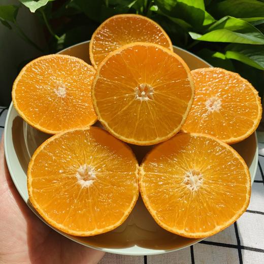 超多水份【现摘现发！新鲜直达】鲜甜爽口，皮薄厚果肉，清甜多汁，四川爱媛果冻橙新鲜橙子水果当季甜柑橘大果。rc 商品图1