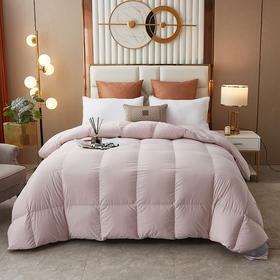 绒友 轻眠鹅绒春秋被