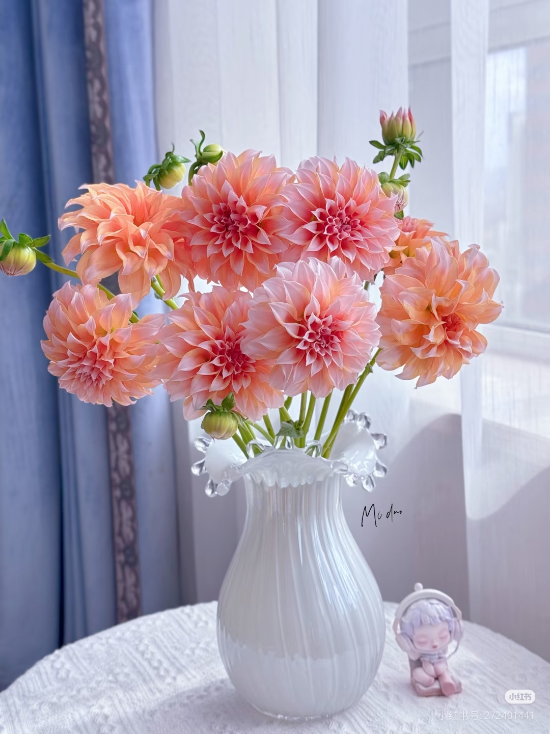 奶油桃子（大丽花）轻微掉瓣不售后