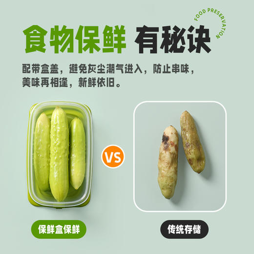 【茶花】自由系列冰箱保鲜盒餐盒便当盒 商品图3