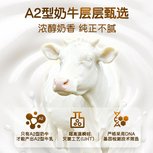 旺仔A2β-酪蛋白纯牛乳_原味125ml多规格 商品图3