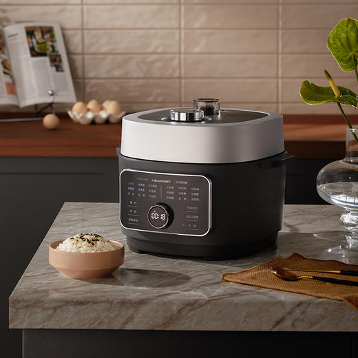 蓝宝低温料理饭煲家用电饭煲BP-FB02【鱼圈vip福利】 商品图2