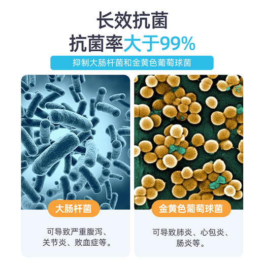 【茶花】抗菌款密实袋冰箱保鲜袋 商品图4