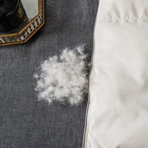 绒友 轻眠鹅绒春秋被 商品图6