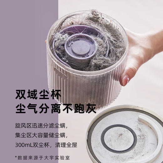 大宇DAEWOO  V2除螨仪pro-椰芋紫 商品图4