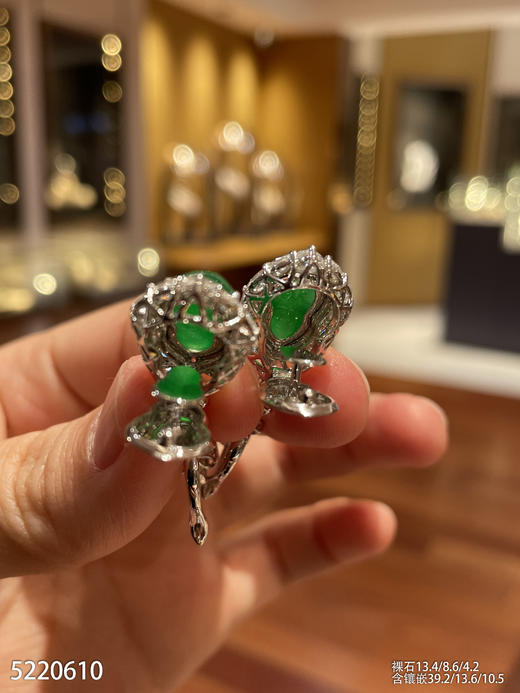 老坑玻璃种帝王绿葫芦耳坠【5220610】具体价格微信咨询 商品图7