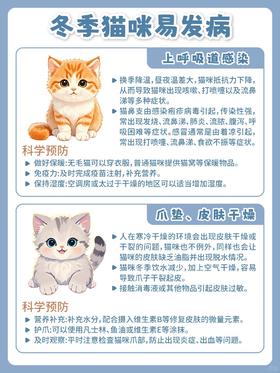 【🐱冬季养猫人必看！猫咪健康过冬指南】🔥