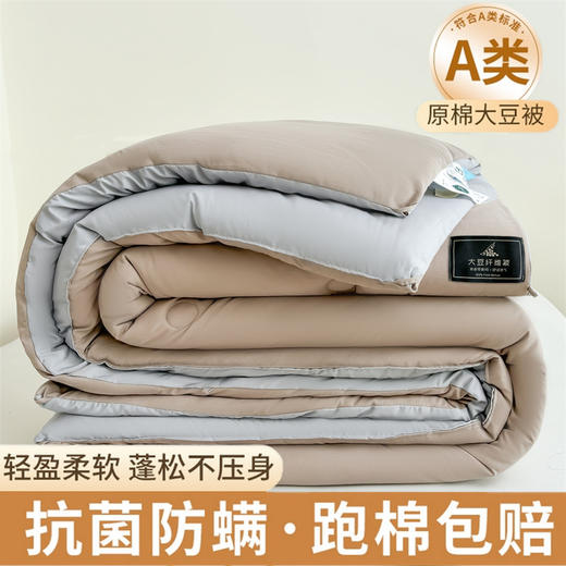 【抗菌除螨！原棉大豆被！】A类母婴抗菌原棉大豆纤维被子 加厚保暖被冬被芯 学生春秋棉被 商品图7