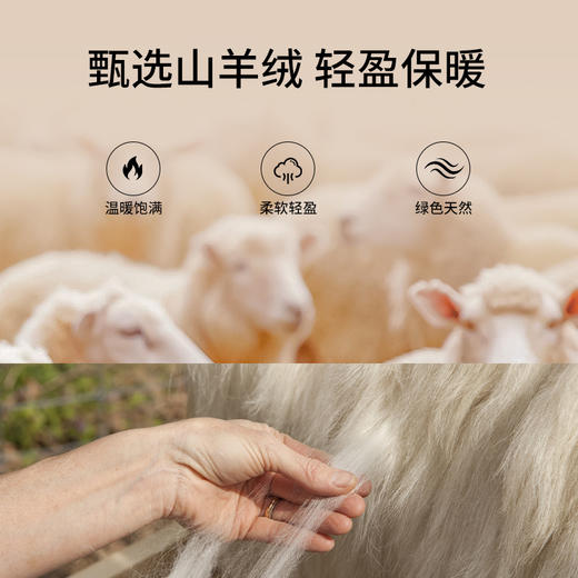 【福利款】金三塔女羊绒套头衫 秋冬新品 基础圆领100%羊绒衫 多色YZFFD701 商品图4