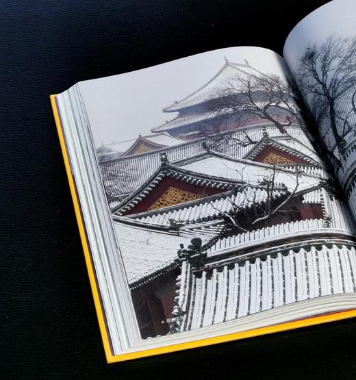 特惠：故宫两种：《“李”解故宫之美》《故宫如梦》，16开+32开精装，李文儒、安意如著，李少白摄影，中国大百科出版社2021年一版一印，304+255页，两册定价：156元，售价46元。 商品图11