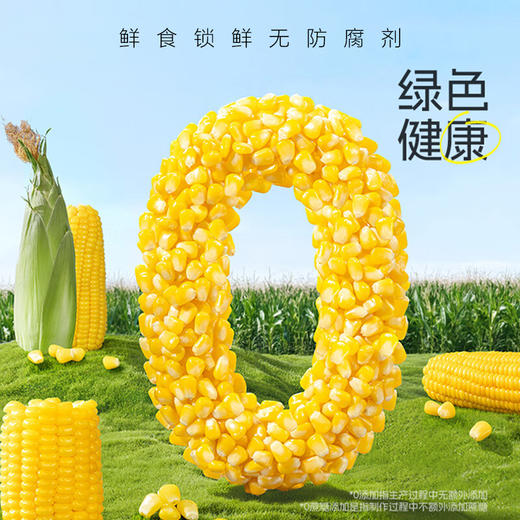 【定丰农场】  内蒙特产鲜食甜糯玉米2kg/盒（十根装） 软糯香甜 真空锁鲜 健康粗粮 商品图2