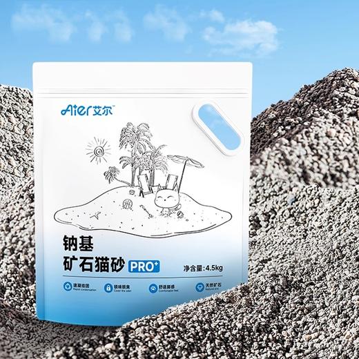 艾尔钠基矿石膨润土猫沙4.5kg 商品图3